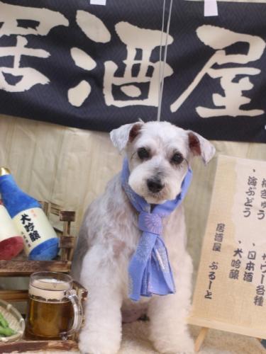 20240629ボルトくん